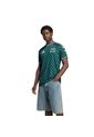 Camiseta Verde Adidas PILOTO SAMPA SOUL AUDI REVOLUT F1 TEAM 2026 OFICIAL Verde de adidas Performance