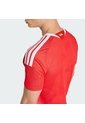 Camiseta Blanco Adidas Local SL Benfica 26/27 Blanco de adidas Performance