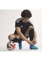 Guayos Adidas Hombre F50 Elite FG - Azul - Azul de adidas Performance