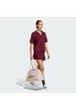 Camiseta Vinotinto Adidas Polo Graphic Seasonal Essentials Colorpop Bordada Rojo de adidas Performance