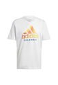 Adidas Performance Camiseta Adidas Hombre FCF DNA GR TEE - Blanco Camiseta de adidas Performance
