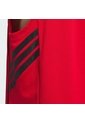 Esqueleto Basketball Rojo Adidas Basketball Legends Hombre de adidas Performance