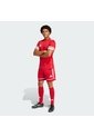 Shorts Fútbol Rojo Adidas Squadra 25 Hombre de adidas Performance