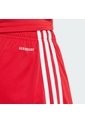 Shorts Fútbol Rojo Adidas Squadra 25 Hombre de adidas Performance