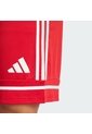 Shorts Fútbol Rojo Adidas Squadra 25 Hombre de adidas Performance