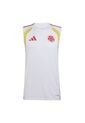 CAMISETA EQUIPOS ADIDAS HOMBRE SELECCION COLOMBIA 2026 JZ6232 Talla M de adidas Performance