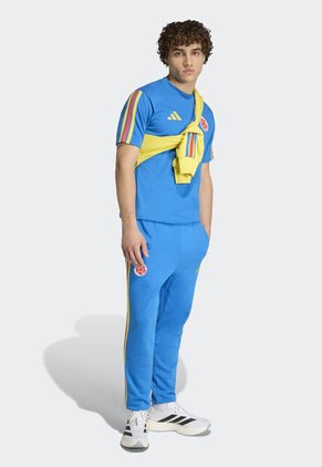 Camiseta adidas Performance ADN Selección Colombia Azul