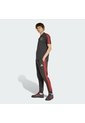Camiseta Negra Adidas Polo DNA Audi Revolut F1 Team Hombre de adidas Performance