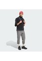 Chaqueta Senderismo Negra Adidas Terrex Multi Climawarm Hombre de adidas Performance