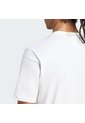 Camiseta Blanca Adidas Jersey Essentials Hombre de adidas Performance