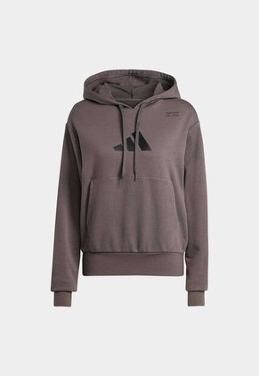 Hoodie adidas Performance Graphic Marrón