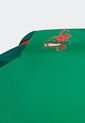 Camiseta Verde-Rojo-Blanco adidas Kids Local México 22 de adidas Performance