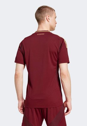 Camiseta Vinotinto-Dorado adidas Performance Roma H JSY