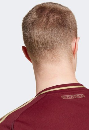 Camiseta Vinotinto-Dorado adidas Performance Roma H JSY