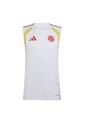 CAMISETA ADIDAS HOMBRE COLOMBIA ENTRENAMIENTO 2026 JZ6232 Talla M de adidas Performance