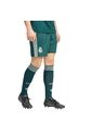 Shorts Verde Adidas Visitantes Real Madrid 26/27 Verde de adidas Performance