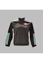 Chaqueta Adidas Hombre FCF Pre - Negro de adidas Performance