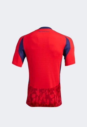 Camiseta DIM adidas Performance Local 2025 Rojo