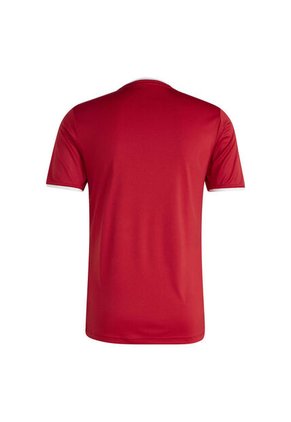CAMISETA ADIDAS HOMBRE JZ2501 Talla S