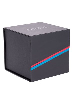 Reloj Plateado AIMANT