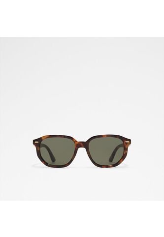 Accesorios Hombre Gafas De Sol Brown Aldo Raywien Aldo