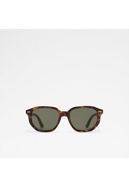 Accesorios Hombre Gafas De Sol Brown Aldo Raywien