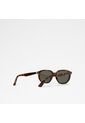 Accesorios Hombre Gafas De Sol Brown Aldo Raywien de Aldo