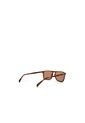 GAFAS DE SOL PARA HOMBRE MARRON ALDO PIKEBLENNY de Aldo