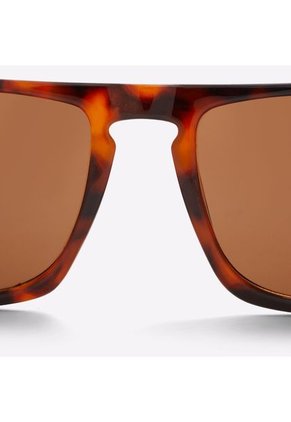 GAFAS DE SOL PARA HOMBRE MARRON ALDO PIKEBLENNY