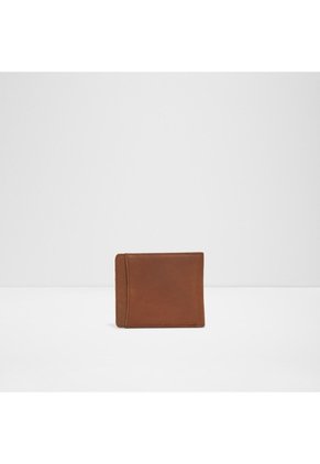 Bolso De Hombre Brown Aldo Ethuwin