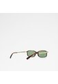 Accesorios Dama Gafas De Sol Brown Aldo Steffy de Aldo