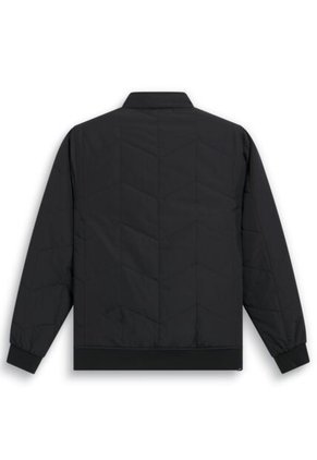 Chaqueta Alpinestars Precedent