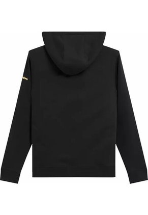 Buzo Alpinestars Gilded Hoodie