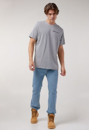 Camiseta Gris-Multicolor Alpinestars Awaits