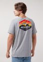 Camiseta Gris-Multicolor Alpinestars Awaits de Alpinestars