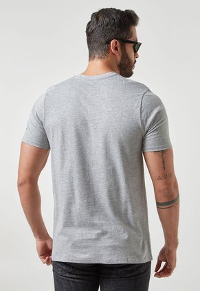 Camiseta Gris-Negro Alpinestars Terra