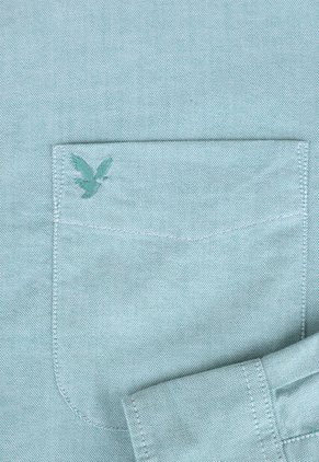 Camisa AMERICAN EAGLE Verde
