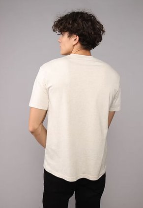 Camiseta AMERICAN EAGLE Beige