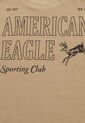Camiseta AMERICAN EAGLE  Café de American Eagle