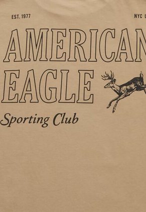Camiseta AMERICAN EAGLE Café