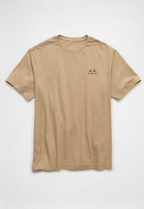 Camiseta AMERICAN EAGLE Café