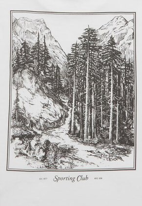 Camiseta AMERICAN EAGLE Blanco