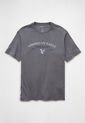 Camiseta AMERICAN EAGLE Gris de American Eagle