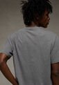 Camiseta AMERICAN EAGLE Gris de American Eagle