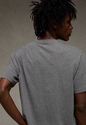Camiseta AMERICAN EAGLE Gris