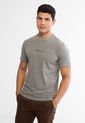 Camiseta AMERICAN EAGLE Gris de American Eagle