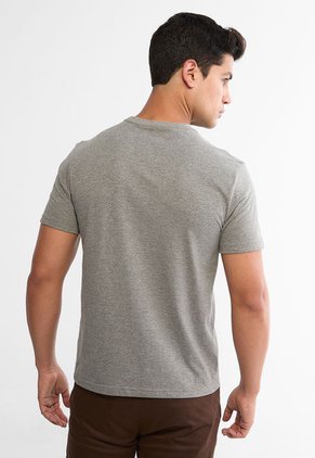 Camiseta AMERICAN EAGLE Gris