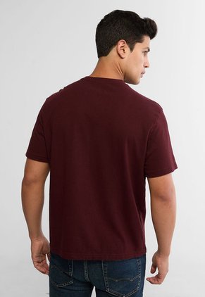 Camiseta AMERICAN EAGLE Vinotinto