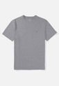 Camiseta AMERICAN EAGLE Gris de American Eagle