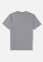 Camiseta AMERICAN EAGLE Gris de American Eagle